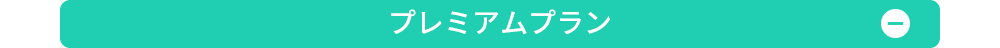 プレミアムプラン