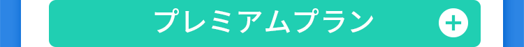 プレミアムプラン