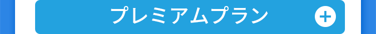 プレミアムプラン