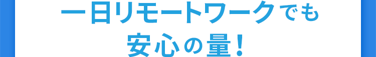 一日リモートワークでも安心の量！