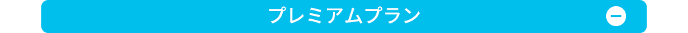 プレミアムプラン