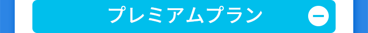 プレミアムプラン