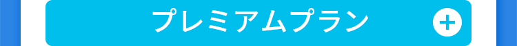 プレミアムプラン