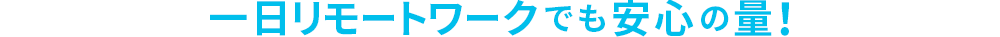 一日リモートワークでも安心の量！