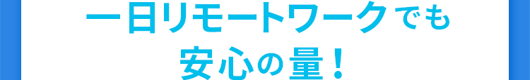 一日リモートワークでも安心の量！